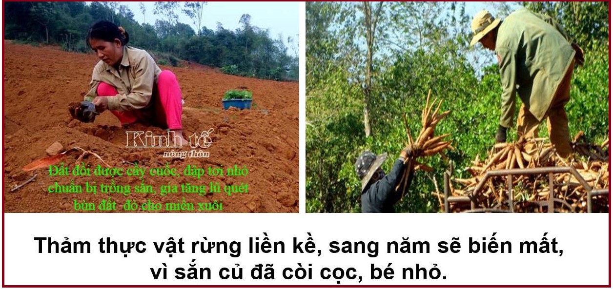 CHÍNH SÁCH XĂNG E5, E10 LÀ RẤT CÓ HẠI CHO ĐẤT NƯỚC (Phần 2)